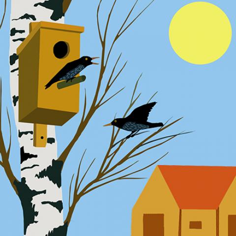 Материнским капиталом лучше воспользоваться в первом полугодии 2017 года. 