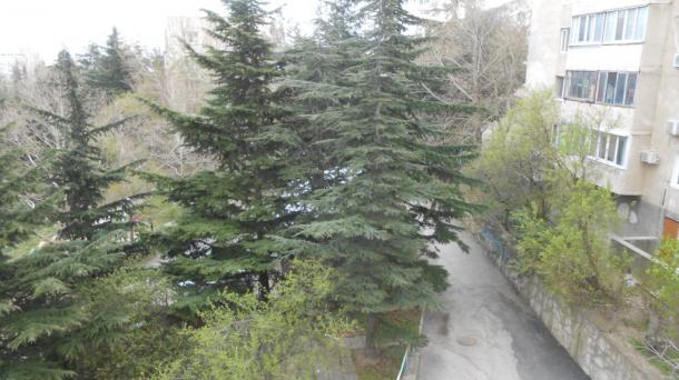 №124. 2-комнатная квартира в Алуште