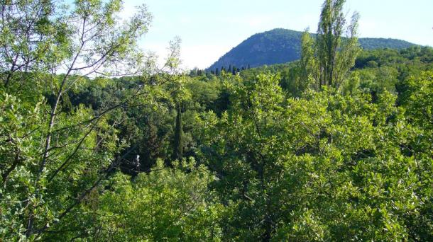 №419 Продам дом в Алуште с. Кипарисное
